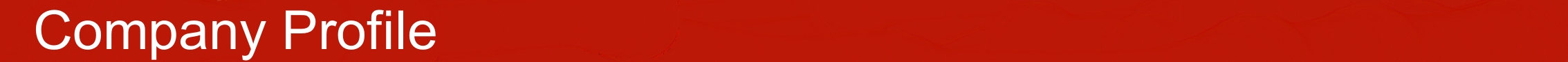 Company Profile Unternehmensprofil